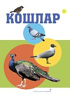 Кошлар. (Дидактик карточкалар. Зур форматта) Кошлар. (Дидактик карточкалар. Зур форматта)